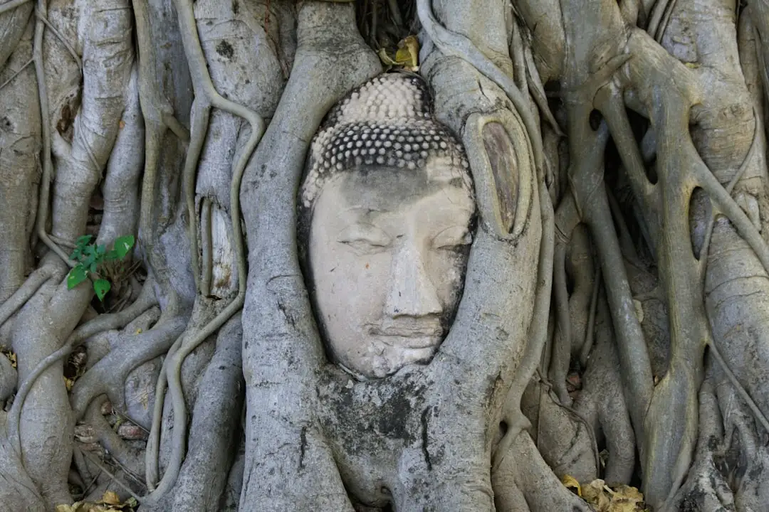 箱包皮具行业动态:重庆旅行箱包市场需求变化与选购趋势分析正文配图 1
